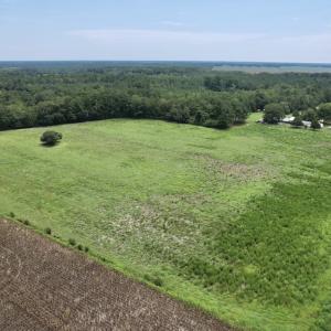 Photo #5 of Off of Ward Town Road S., Whiteville, NC 70.4 acres