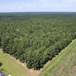 Photo #6 of Off of Ward Town Road S., Whiteville, NC 70.4 acres