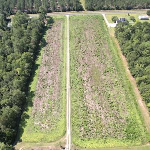 Photo #8 of Off of Ward Town Road S., Whiteville, NC 70.4 acres