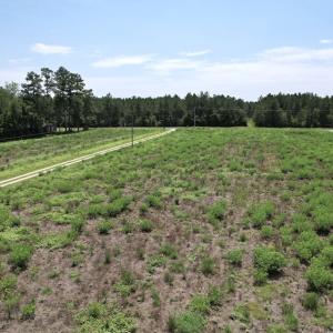 Photo #9 of Off of Ward Town Road S., Whiteville, NC 70.4 acres