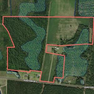 Photo #47 of Off of Ward Town Road S., Whiteville, NC 70.4 acres