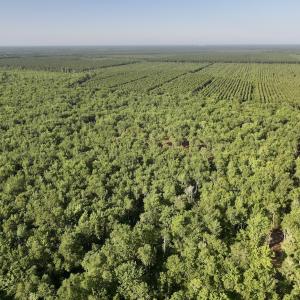 Photo #11 of Off Guinea Mill Rd, Ernul, NC 461.4 acres