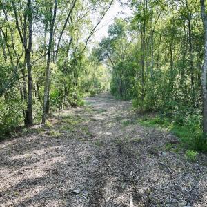 Photo #15 of Off Guinea Mill Rd, Ernul, NC 461.4 acres