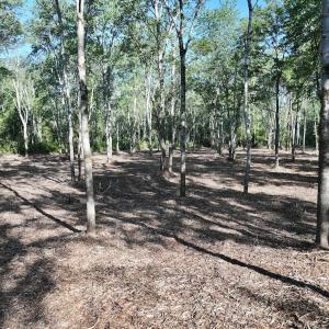 Photo #16 of Off Guinea Mill Rd, Ernul, NC 461.4 acres