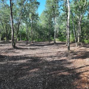 Photo #17 of Off Guinea Mill Rd, Ernul, NC 461.4 acres