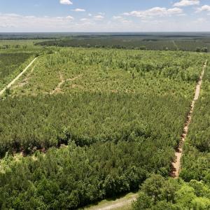 Photo #1 of Off Guinea Mill Rd, Ernul, NC 461.4 acres