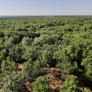 Photo #20 of Off Guinea Mill Rd, Ernul, NC 461.4 acres