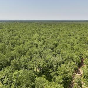 Photo #21 of Off Guinea Mill Rd, Ernul, NC 461.4 acres