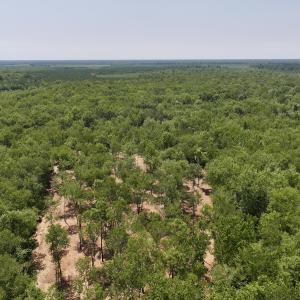 Photo #22 of Off Guinea Mill Rd, Ernul, NC 461.4 acres
