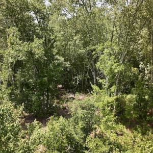 Photo #26 of Off Guinea Mill Rd, Ernul, NC 461.4 acres