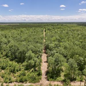 Photo #28 of Off Guinea Mill Rd, Ernul, NC 461.4 acres