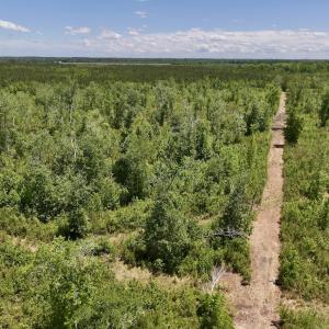 Photo #30 of Off Guinea Mill Rd, Ernul, NC 461.4 acres