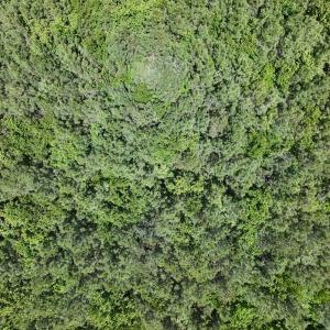 Photo #31 of Off Guinea Mill Rd, Ernul, NC 461.4 acres