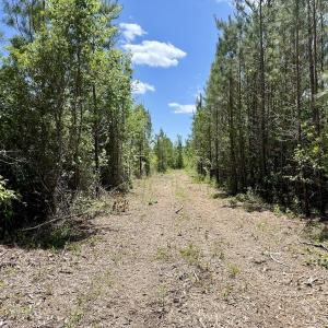 Photo #33 of Off Guinea Mill Rd, Ernul, NC 461.4 acres