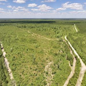 Photo #34 of Off Guinea Mill Rd, Ernul, NC 461.4 acres