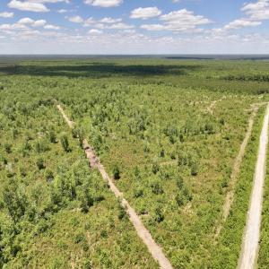Photo #36 of Off Guinea Mill Rd, Ernul, NC 461.4 acres