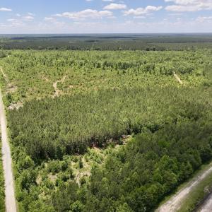 Photo #38 of Off Guinea Mill Rd, Ernul, NC 461.4 acres