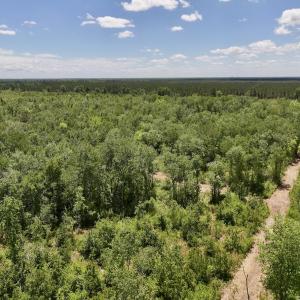 Photo #4 of Off Guinea Mill Rd, Ernul, NC 461.4 acres