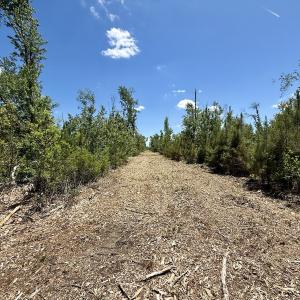 Photo #40 of Off Guinea Mill Rd, Ernul, NC 461.4 acres