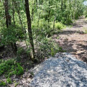 Photo #46 of Off Guinea Mill Rd, Ernul, NC 461.4 acres