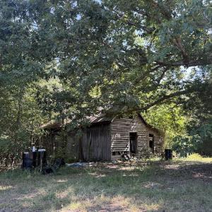 Photo #11 of Off of Reed Rd, South Hill, VA 59.6 acres