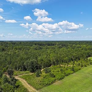 Photo #12 of Off of Reed Rd, South Hill, VA 59.6 acres