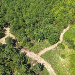 Photo #13 of Off of Reed Rd, South Hill, VA 59.6 acres