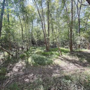 Photo #17 of Off of Reed Rd, South Hill, VA 59.6 acres