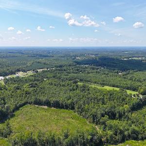Photo #3 of Off of Reed Rd, South Hill, VA 59.6 acres