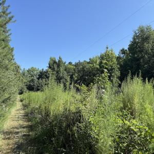 Photo #24 of Off of Reed Rd, South Hill, VA 59.6 acres
