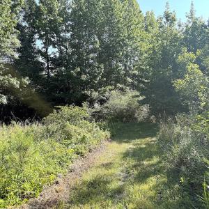 Photo #25 of Off of Reed Rd, South Hill, VA 59.6 acres