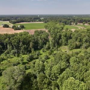 Photo #10 of Lot 2 Mobley Rd, Lucama, NC 12.8 acres