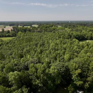Photo #11 of Lot 2 Mobley Rd, Lucama, NC 12.8 acres