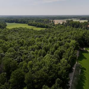Photo #12 of Lot 2 Mobley Rd, Lucama, NC 12.8 acres