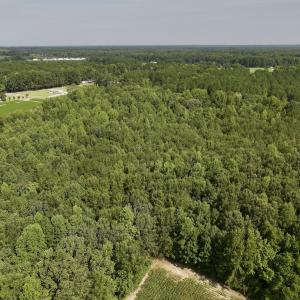 Photo #3 of Lot 2 Mobley Rd, Lucama, NC 12.8 acres