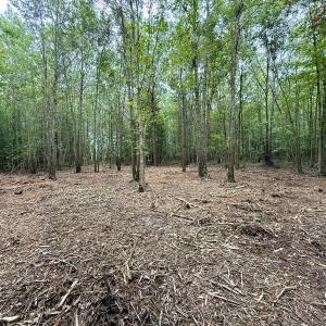 Photo #4 of Lot 2 Mobley Rd, Lucama, NC 12.8 acres