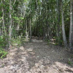 Photo #9 of Lot 2 Mobley Rd, Lucama, NC 12.8 acres