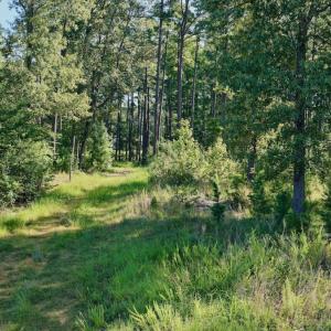 Photo #11 of Off of Lewis Mill Road, Clarksville, VA 2.5 acres