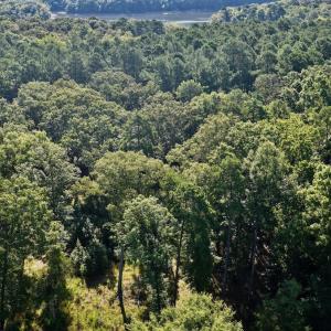 Photo #14 of Off of Lewis Mill Road, Clarksville, VA 2.5 acres