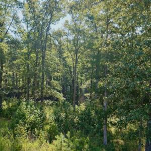 Photo #16 of Off of Lewis Mill Road, Clarksville, VA 2.5 acres
