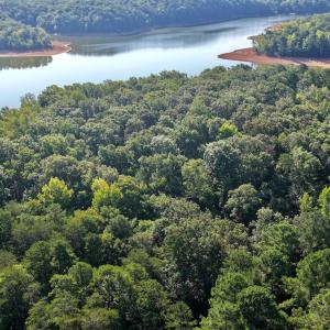 Photo #2 of Off of Lewis Mill Road, Clarksville, VA 2.5 acres