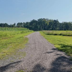Photo #4 of Off of Lewis Mill Road, Clarksville, VA 2.5 acres