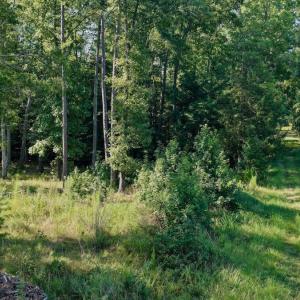 Photo #5 of Off of Lewis Mill Road, Clarksville, VA 2.5 acres