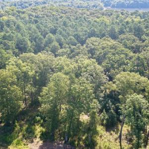 Photo #9 of Off of Lewis Mill Road, Clarksville, VA 2.5 acres