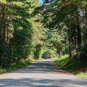 Photo #21 of Off of Lewis Mill Road, Clarksville, VA 2.5 acres