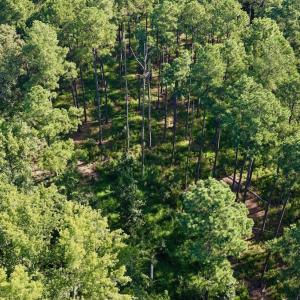 Photo #22 of Off of Lewis Mill Road, Clarksville, VA 2.5 acres