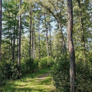 Photo #24 of Off of Lewis Mill Road, Clarksville, VA 2.5 acres