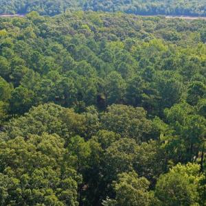 Photo #31 of Off of Lewis Mill Road, Clarksville, VA 2.5 acres