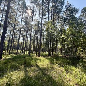 Photo #36 of Off of Lewis Mill Road, Clarksville, VA 2.5 acres