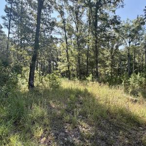 Photo #37 of Off of Lewis Mill Road, Clarksville, VA 2.5 acres